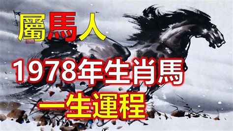 1978屬馬|1978年屬馬是什麼命，1978年出生人的命運